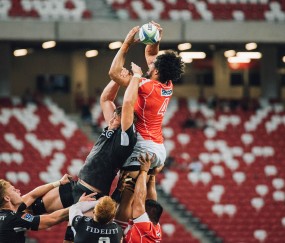 世界杯冷门预测-塞内加尔新老交替提速，足球数据与晋级前景双线提升竞争力